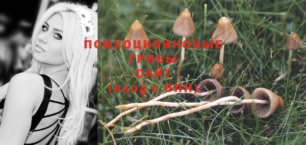 дурь Вязники