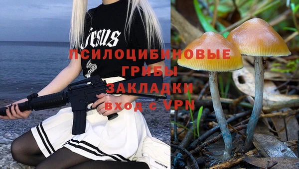 спиды Володарск