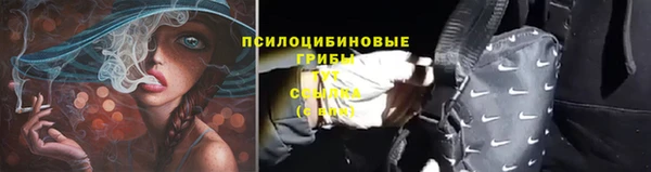 MDMA Premium VHQ Вяземский