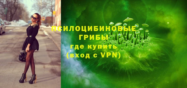 метадон Горняк