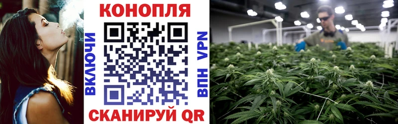 Конопля тримм  где купить   Димитровград 
